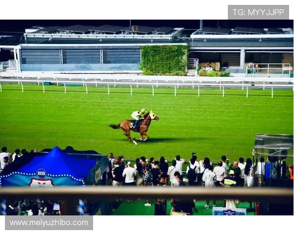 掌握香港赛马会投注户口中文登录与管理技巧提升使用体验
