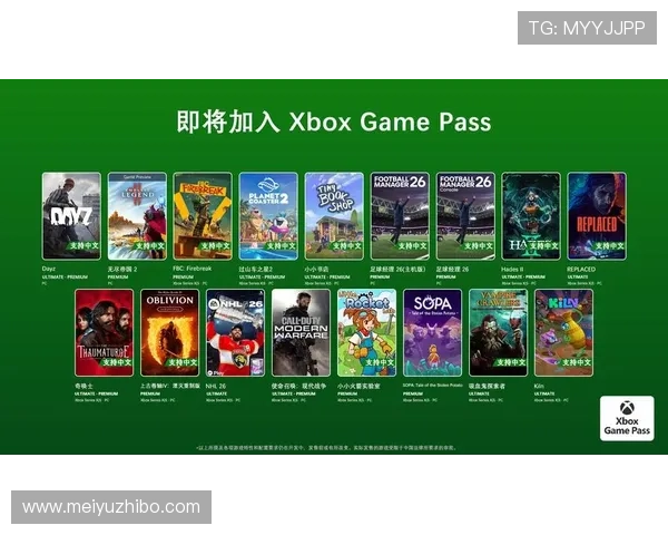 澳门新濠真人游戏平台安全可靠全面解析玩家如何选择优质游戏环境